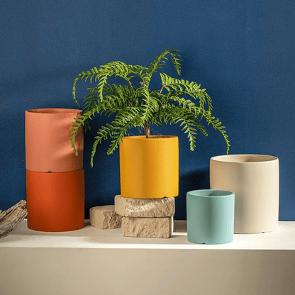 Ceramic Planter with Saucer | Elegant Indoor Plant Pot for Home Décor - Luxyecs