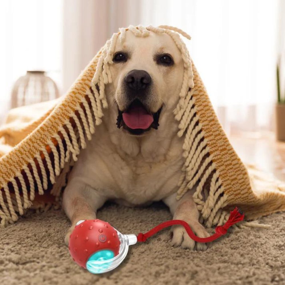 Smart Rolling Dog Toy | Lights Up and Keeps Pets Active