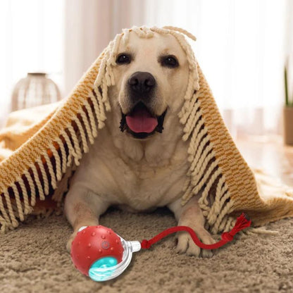 Smart Rolling Dog Toy | Lights Up and Keeps Pets Active