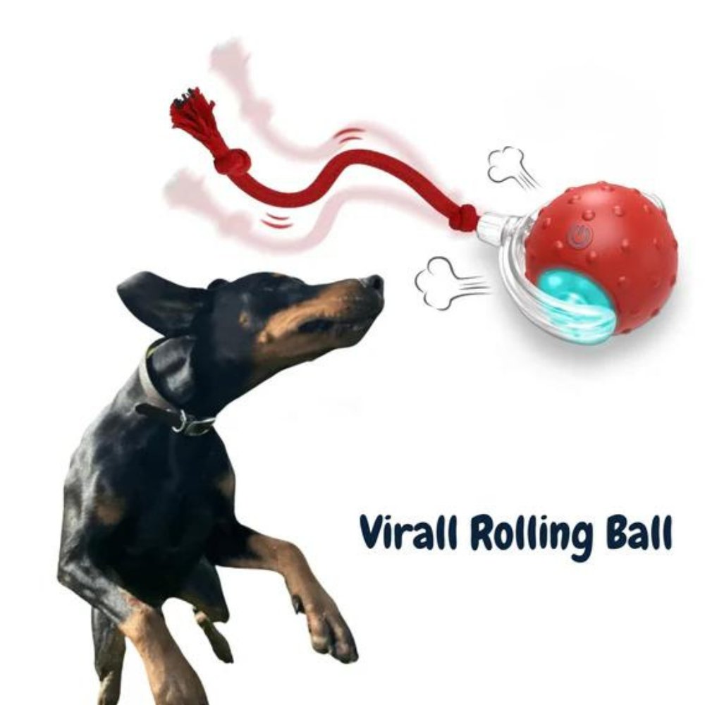 Smart Rolling Dog Toy | Lights Up and Keeps Pets Active