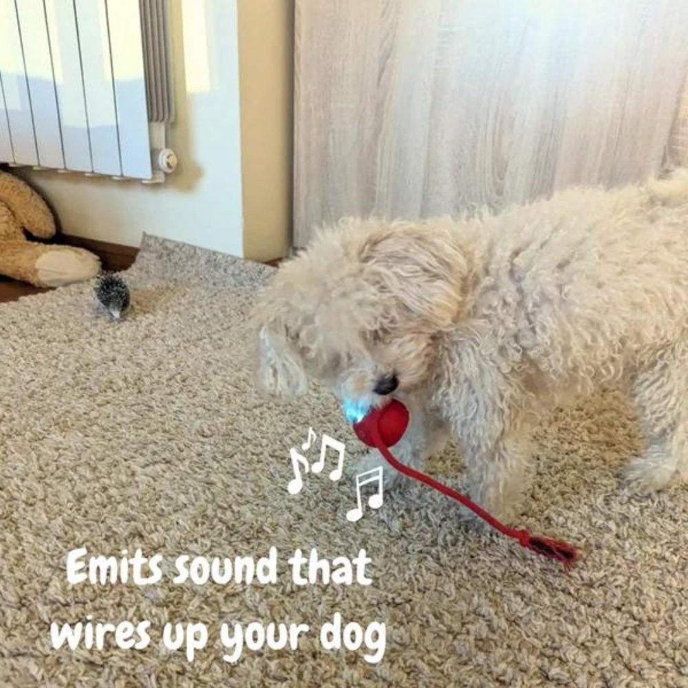 Smart Rolling Dog Toy | Lights Up and Keeps Pets Active