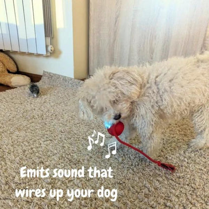 Smart Rolling Dog Toy | Lights Up and Keeps Pets Active