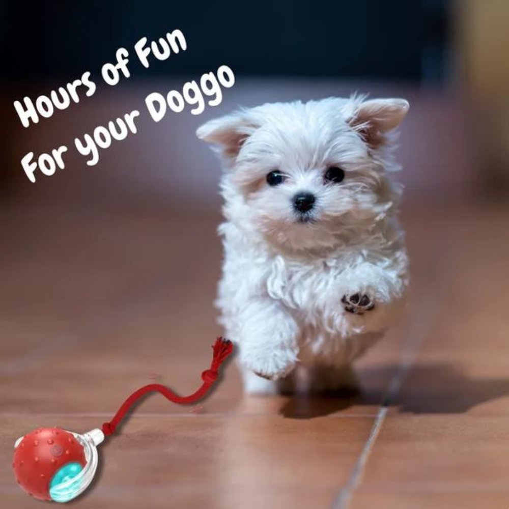 Smart Rolling Dog Toy | Lights Up and Keeps Pets Active