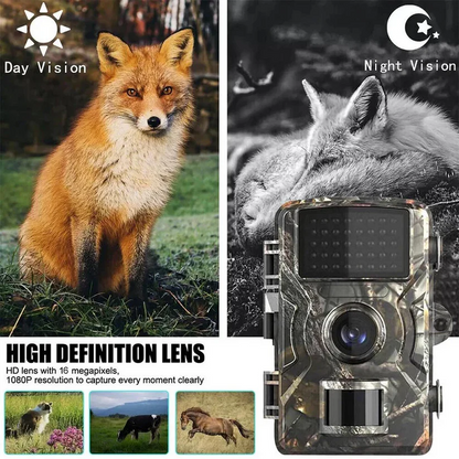 Wildlife Animal Camera | Waterproof Outdoor Security Recorder
