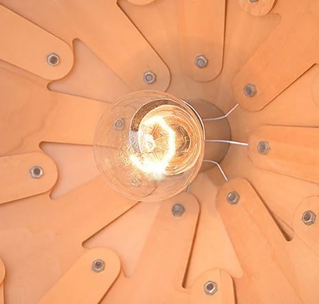 Wooden Pinecone Pendant Lamp