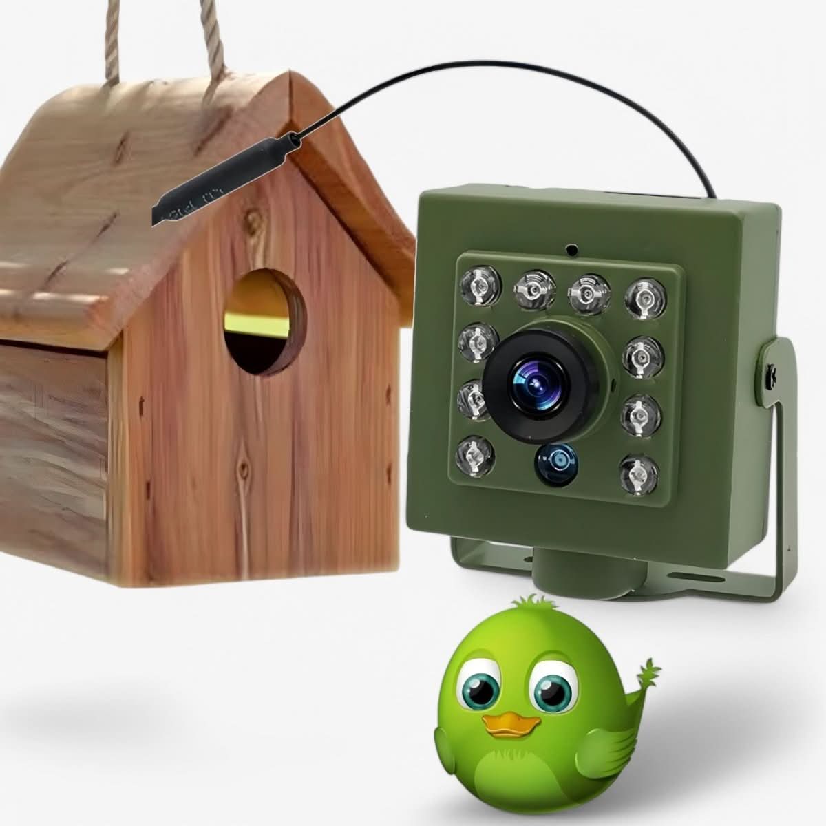 Mini Security Camera Birds | Hidden Surveillance Camera - Luxyecs