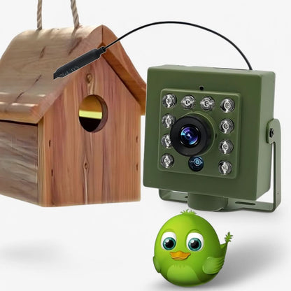 Mini Security Camera Birds | Hidden Surveillance Camera - Luxyecs