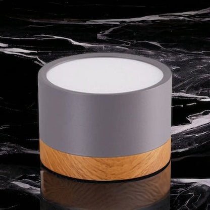 Modern Ceiling Light | Minimalist LED Downlight for Living Room