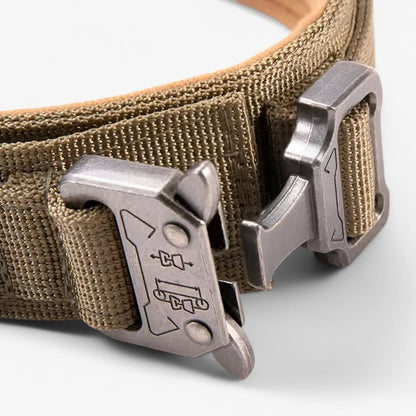 Pet Dog Collar | Durable Daily Wear Collar - Luxyecs