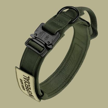 Pet Dog Collar | Durable Daily Wear Collar - Luxyecs