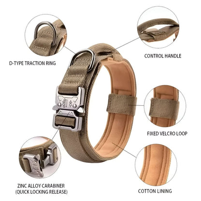 Pet Dog Collar | Durable Daily Wear Collar - Luxyecs
