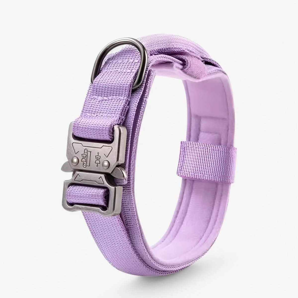 Pet Dog Collar | Durable Daily Wear Collar - Luxyecs