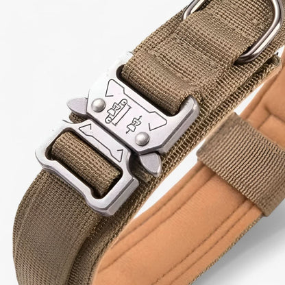 Pet Dog Collar | Durable Daily Wear Collar - Luxyecs