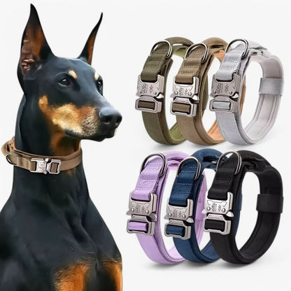 Pet Dog Collar | Durable Daily Wear Collar - Luxyecs