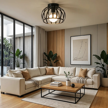 Industrial Cage Ceiling Light | Modern Hallway Fixture
