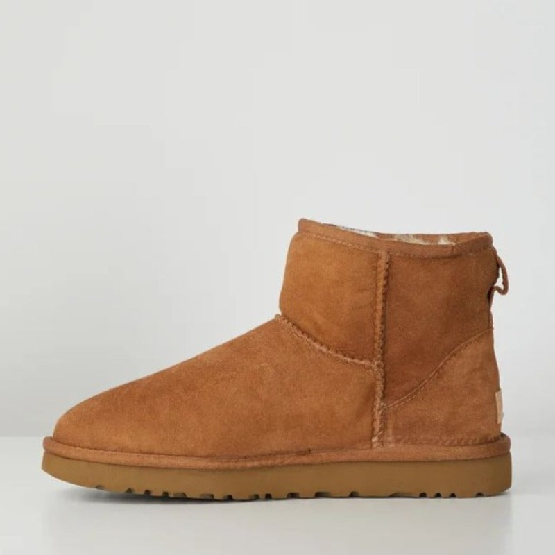 Boston Mini Boots | Award-Winning 2025 Stylish Ankle Boots
