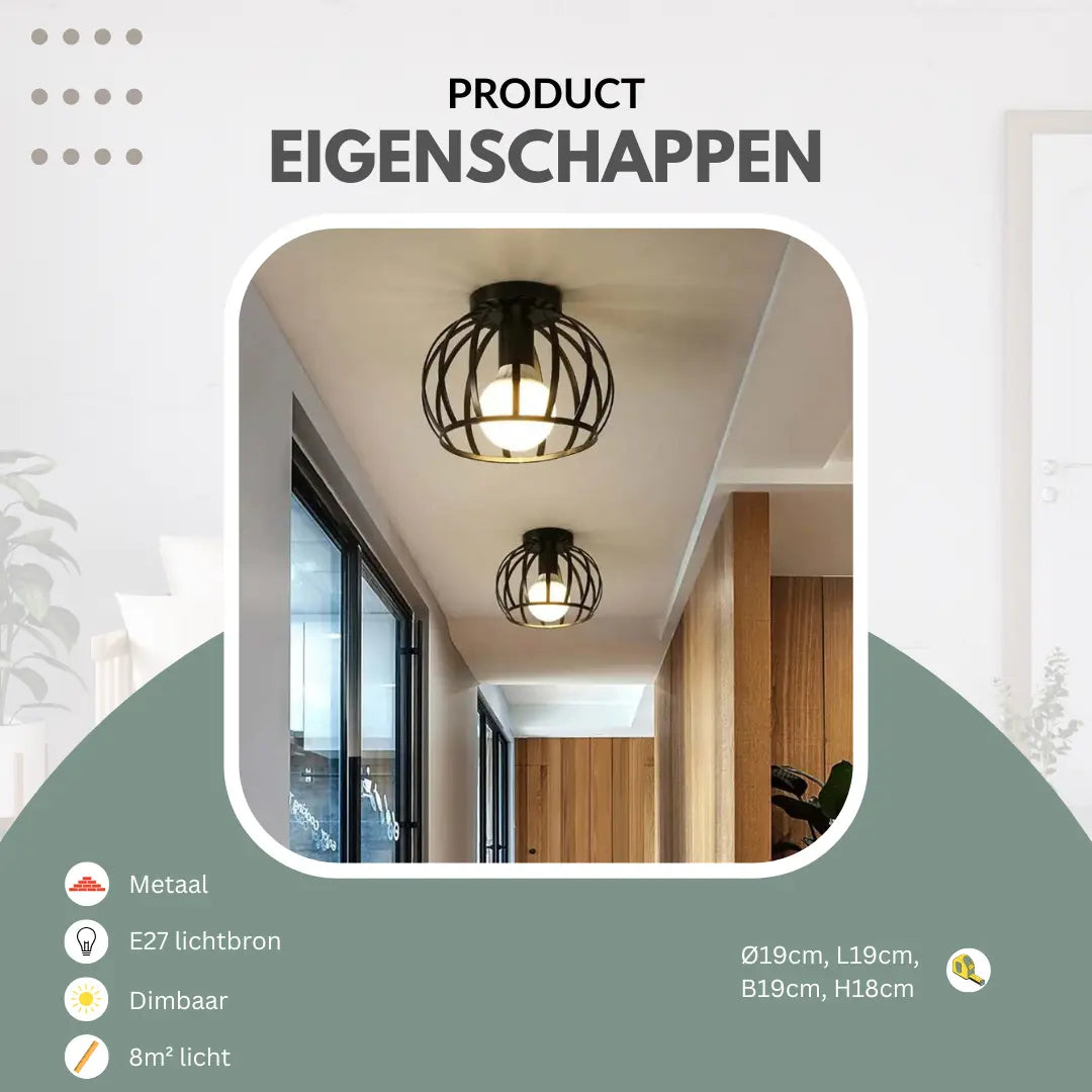 Industrial Cage Ceiling Light | Modern Hallway Fixture