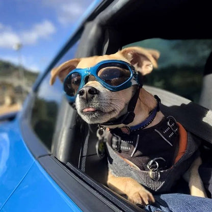 PupShield Foldable Dog Goggles - Luxyecs