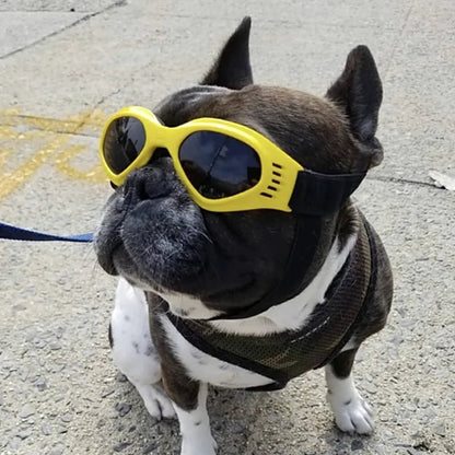 PupShield Foldable Dog Goggles - Luxyecs