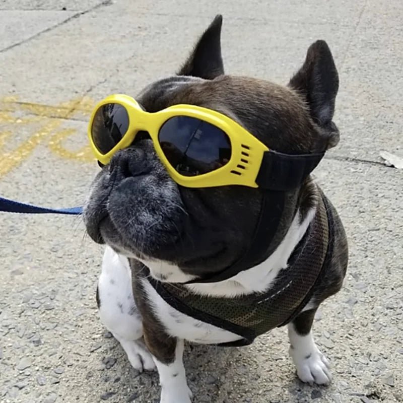PupShield Foldable Dog Goggles - Luxyecs