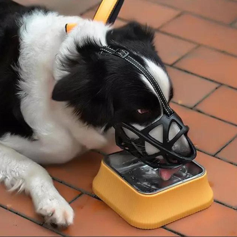 Breathable Dog Muzzle | Prevents Biting and Chewing
