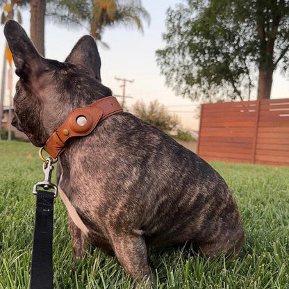 Smart AirTag Collar for Dogs | Reliable Tracking Made Easy