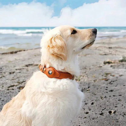Smart AirTag Collar for Dogs | Reliable Tracking Made Easy