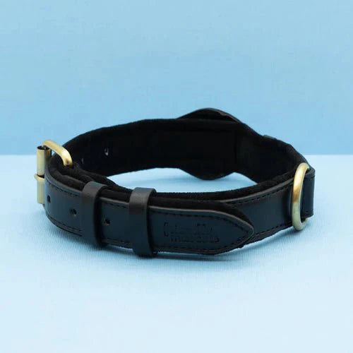 Smart AirTag Collar for Dogs | Reliable Tracking Made Easy