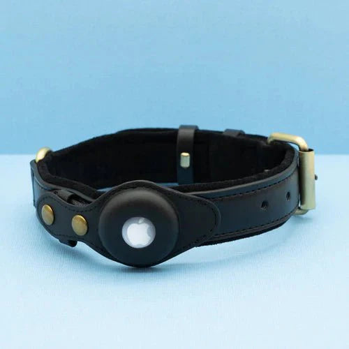 Smart AirTag Collar for Dogs | Reliable Tracking Made Easy