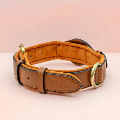 Smart AirTag Collar for Dogs | Reliable Tracking Made Easy
