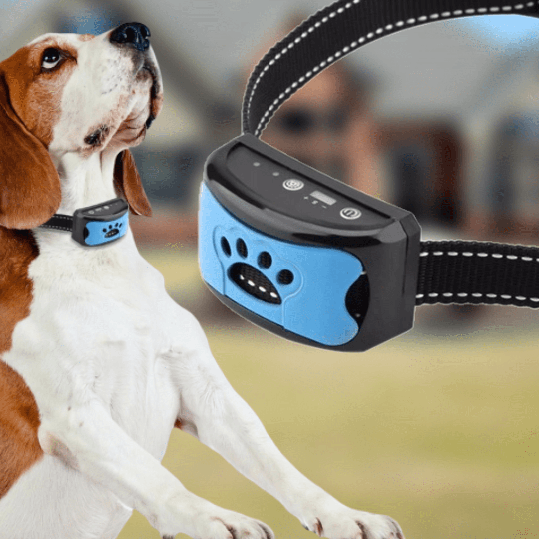 Anti-Bark Collar - Safe and Effective Bark Stop